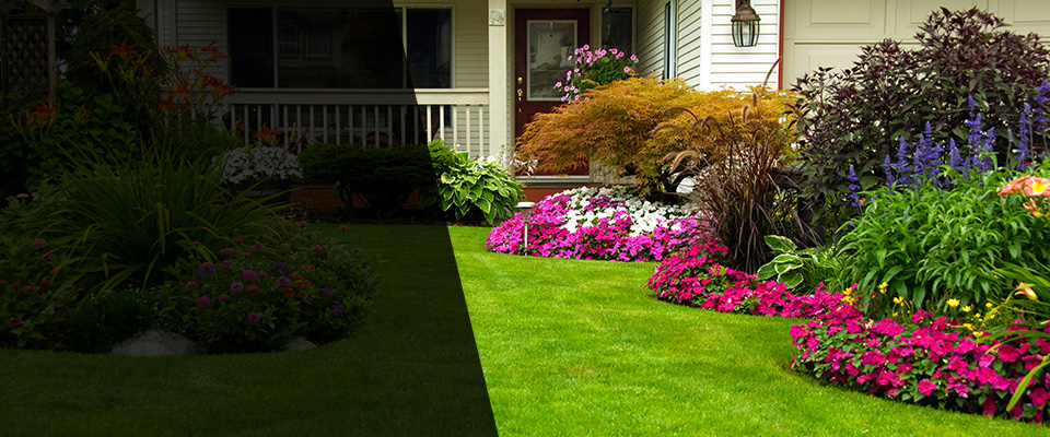 Elkins Landscapers