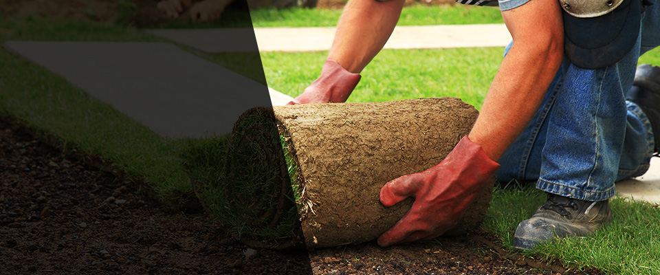 Elkins Landscapers